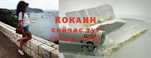 молекула духа Белоозёрский