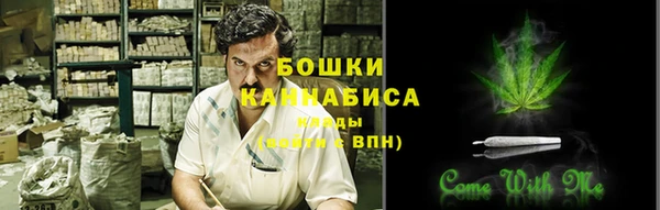 шишки Баксан