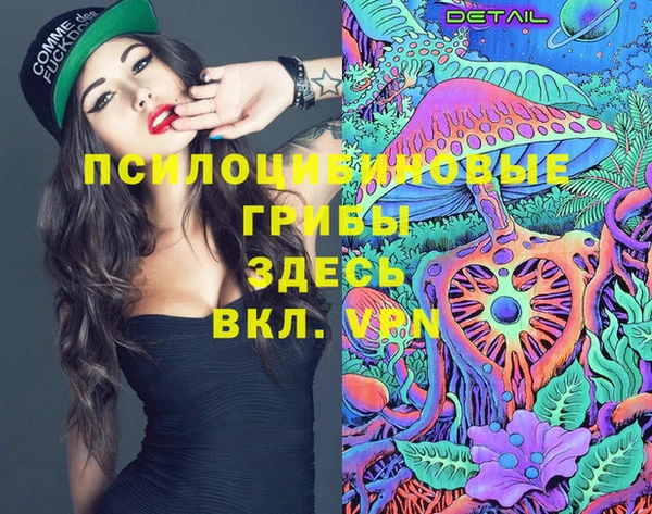молекула духа Белоозёрский
