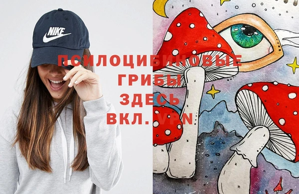 кокаин Белокуриха