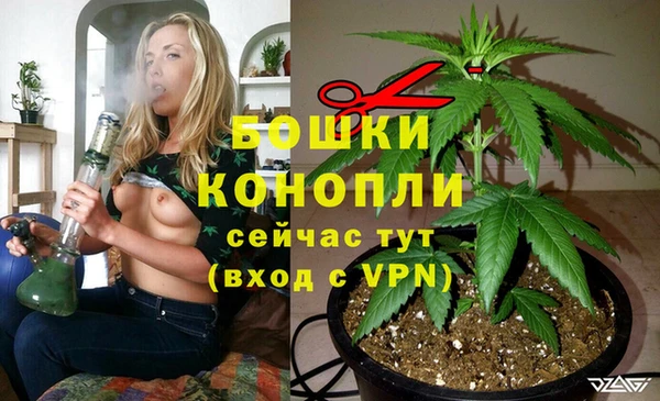 молекула духа Белоозёрский