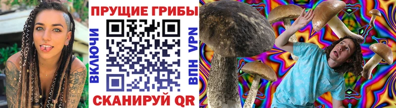 Псилоцибиновые грибы Psilocybe  дарк нет телеграм  Бор 